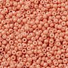 MIYUKI Round Rocailles Beads X-SEED-G008-RR4462-2
