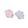 Frosted Acrylic Charms OACR-M023-04G-2