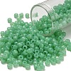 TOHO 6/0 Round Beads SEED-XTR06-1144-1