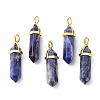Natural Sodalite Pointed Pendants G-G025-01G-08-1