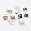 Natural Gemstone Pendants G-G737-14-1