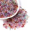 Baking Paint Electroplate Transparent Glass Seed Beads X-SEED-N006-07-1