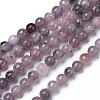 Natural Lepidolite/Purple Mica Beads Strands G-G770-04A-10mm-1