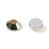 Glass Flat Back Rhinestone RGLA-C002-SS10-567-2