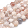 Natural Cherry Blossom Agate Beads Strands G-I206-01-10mm-1
