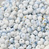 Baking Paint Glass Seed Beads SEED-F006-01A-02-3