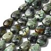 Natural African Turquoise(Jasper) Beads Strands G-L585-F01-01-1