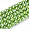 Electroplate Opaque Glass Beads Strands GLAA-T032-P4mm-AB06-1