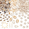 Natural Conch & Cowrie Shell Display Decorations DJEW-NB0001-53-1