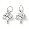 Rack Plating Brass Micro Pave Clear Cubic Zirconia Charms KK-D097-05P-1