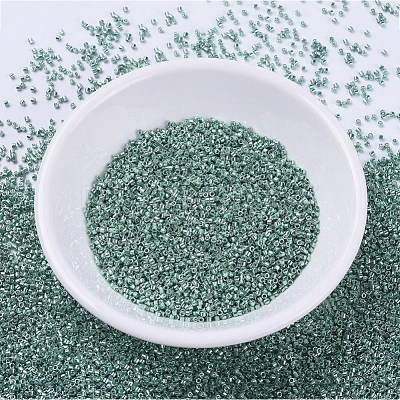 MIYUKI Delica Beads SEED-X0054-DB0416-1