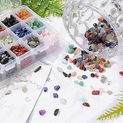 Natural Gemstone Chips Beads G-NB0001-53-1