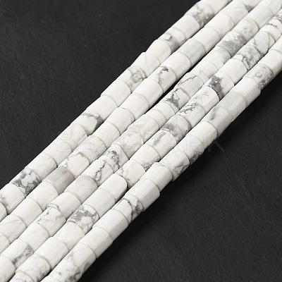 Natural Howlite Beads Strands G-I341-04-1