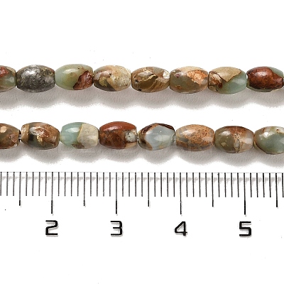 Natural Aqua Terra Jasper Beads Strands G-F765-I01-01-1