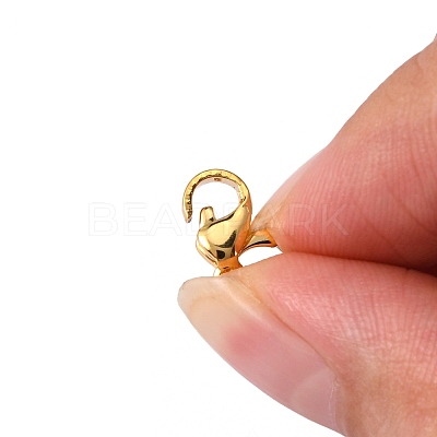 304 Stainless Steel Lobster Claw Clasps X-STAS-R050-10x6mm-02-1