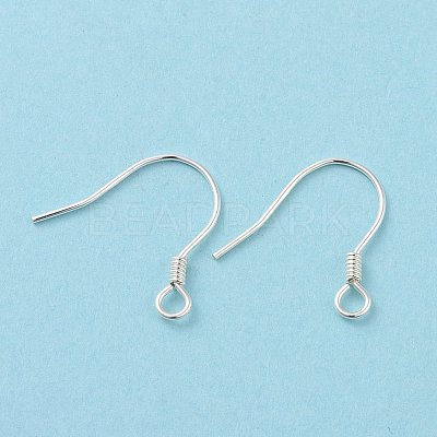 925 Sterling Silver Earring Hooks STER-D035-22S-1