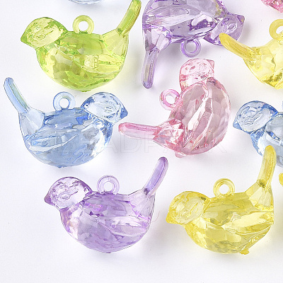 Transparent Acrylic Pendants X-TACR-S133-028-1
