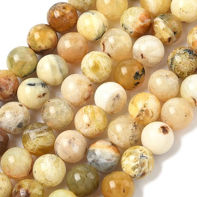 Natural Yellow Opal Beads Strands G-I213-18-10mm-1