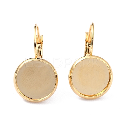 304 Stainless Steel Leverback Earring Settings STAS-F191-03G-8mm-1
