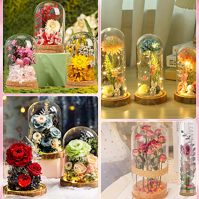 Glass Bell Jars AJEW-BC0010-64A-1