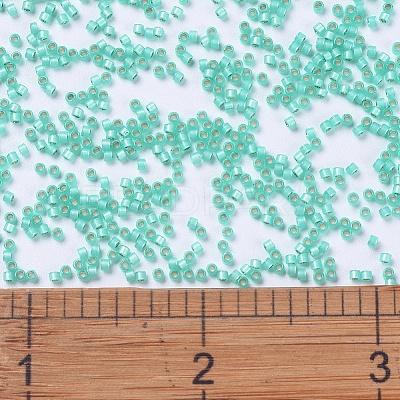 MIYUKI Delica Beads SEED-J020-DB0627-1