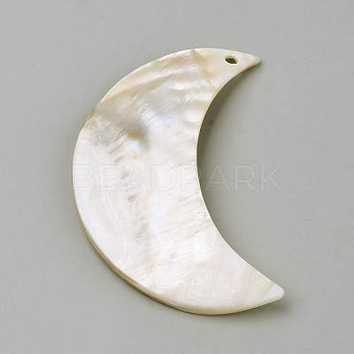 Freshwater Shell Pendants X-BSHE-S620-04-1