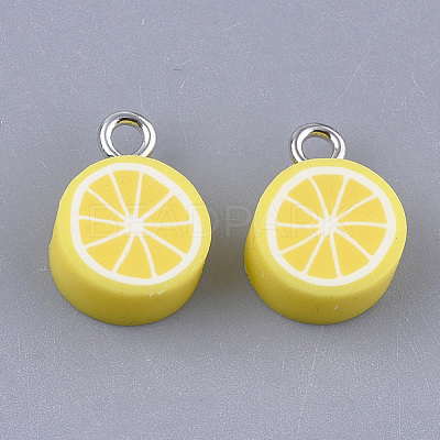 Handmade Polymer Clay Charms CLAY-S091-101-1