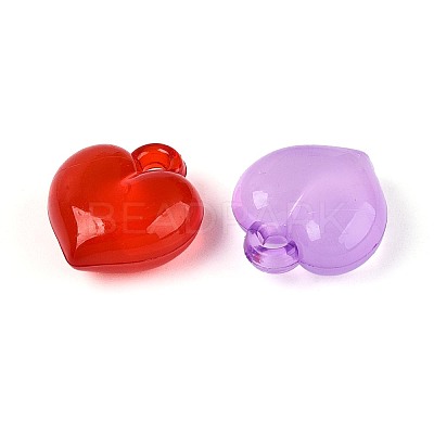 Transparent Acrylic Pendants TACR-T028-80M-1