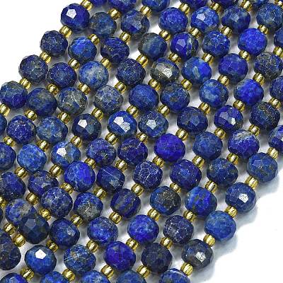 Dyed Natural Lapis Lazuli Beads Strands G-K389-E63-01-1