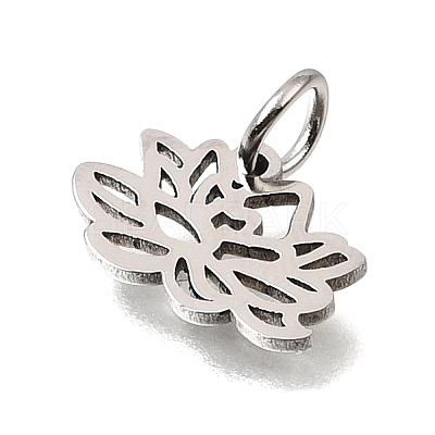 304 Stainless Steel Charms SA-CBA4CE0-01P-F-1