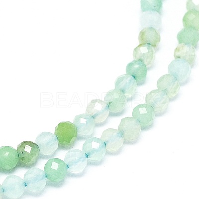 Natural Chrysoprase Beads Strands G-O180-01C-1
