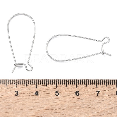 SHEGRACE Brass Kidney Ear Wire XGR0004P-43P-1