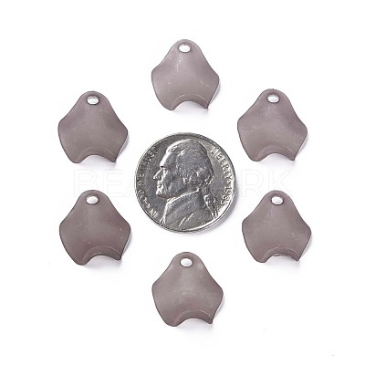 Transparent Acrylic Beads MACR-S373-106-D02-1