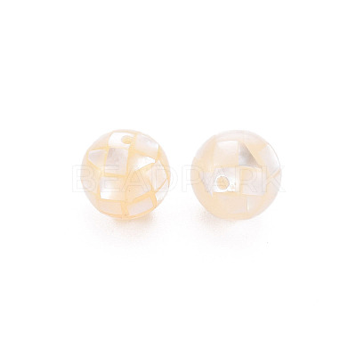 Resin Beads SSHEL-T014-38-8mm-05-1