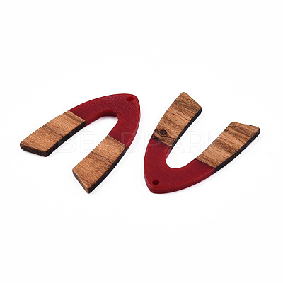 Opaque Resin & Walnut Wood Pendants RESI-N025-029-B04-1