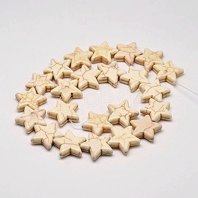Dyed Synthetic Turquoise Bead Strands G-M144-04-D-1