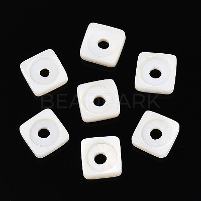 Natural Freshwater Shell Beads BSHE-T014-16-1