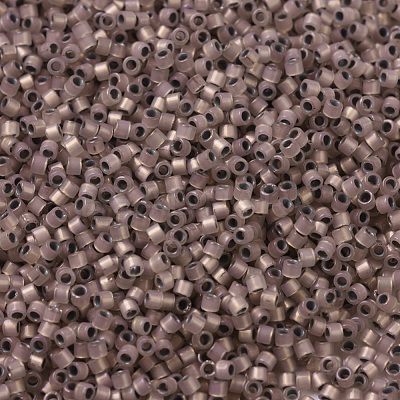 MIYUKI Delica Beads X-SEED-J020-DB0191-1