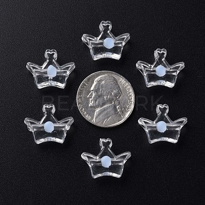 Transparent Acrylic Beads MACR-S373-105-B08-1