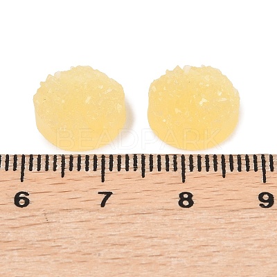 Transparent Resin Decoden Cabochons RESI-XCP0002-71B-1