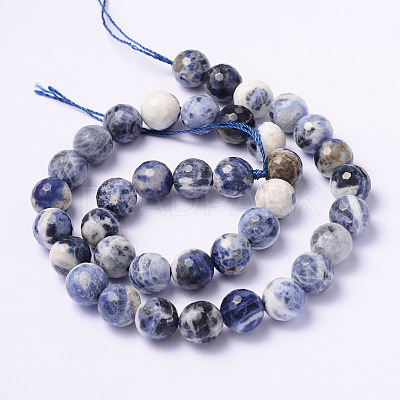Faceted Natural Sodalite Round Bead Strands G-L377-45-10mm-1