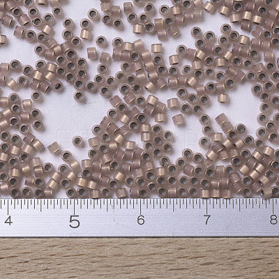 MIYUKI Delica Beads X-SEED-J020-DB0191-1