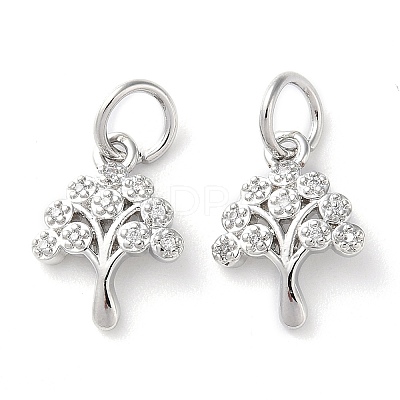 Rack Plating Brass Micro Pave Clear Cubic Zirconia Charms KK-D097-05P-1