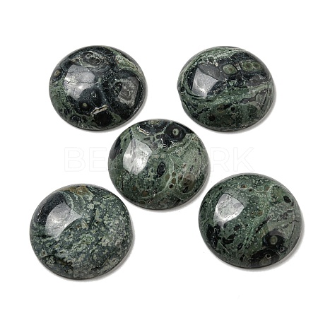 Natural Kambaba Jasper Cabochons G-C115-02B-24-1
