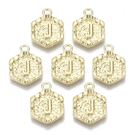 Alloy Pendants PALLOY-N157-003J-NR-1