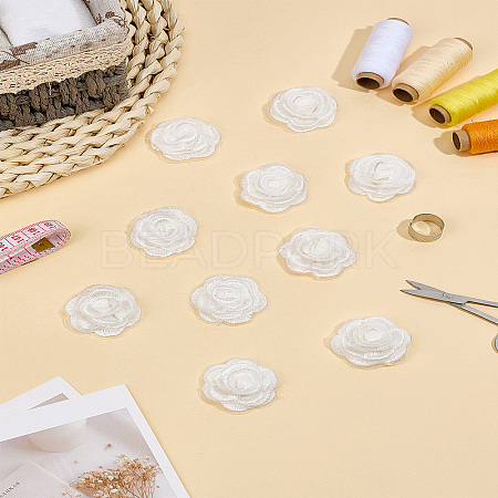10Pcs Polyester Embroider Thread Iron on/Sew On Patches PATC-LP0001-27-1