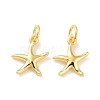 Brass Charms KK-G418-22G-1