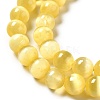 Natural Selenite Beads Strands G-P493-01F-4