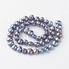 Natural Cultured Freshwater Pearl Beads Strands PEAR-R064-23-2