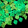48Pcs 6 Colors Luminous Resin Dog Figurine DJEW-TA0001-43-4